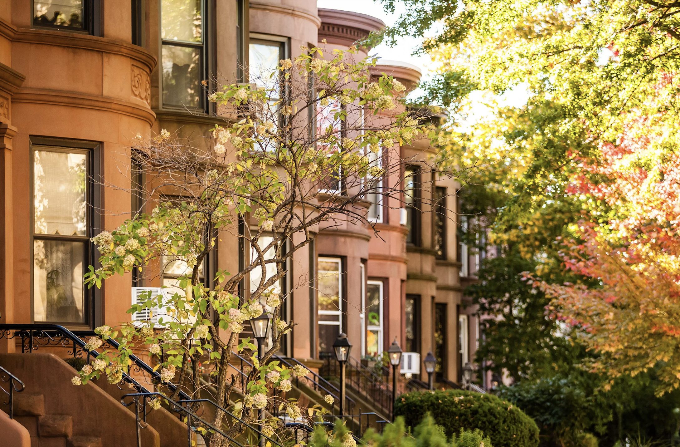 Screenshot 2025-12-11 at 3.50.03 PM